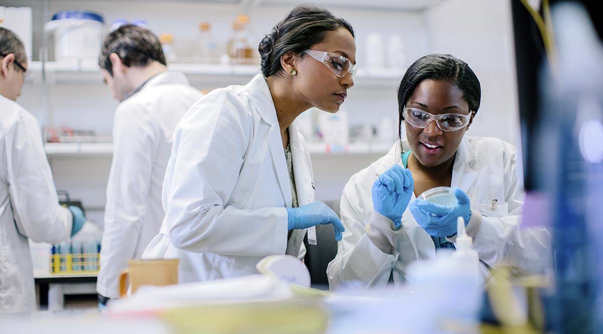 Medical research laboratory with scientists and equipment
