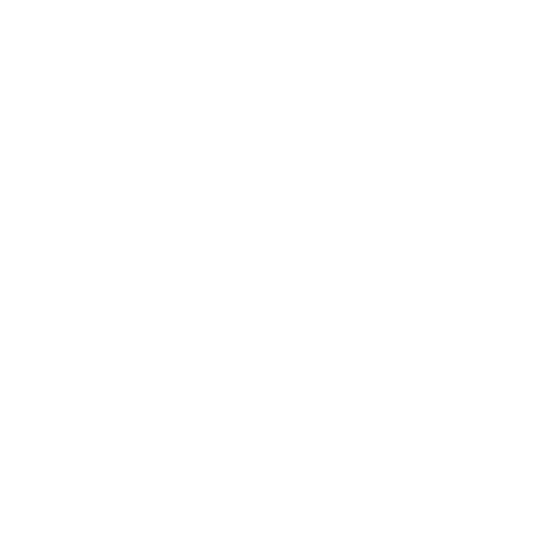 Reporting Process